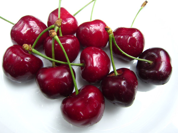 Süßkirsche 'Burlat' Hochst.